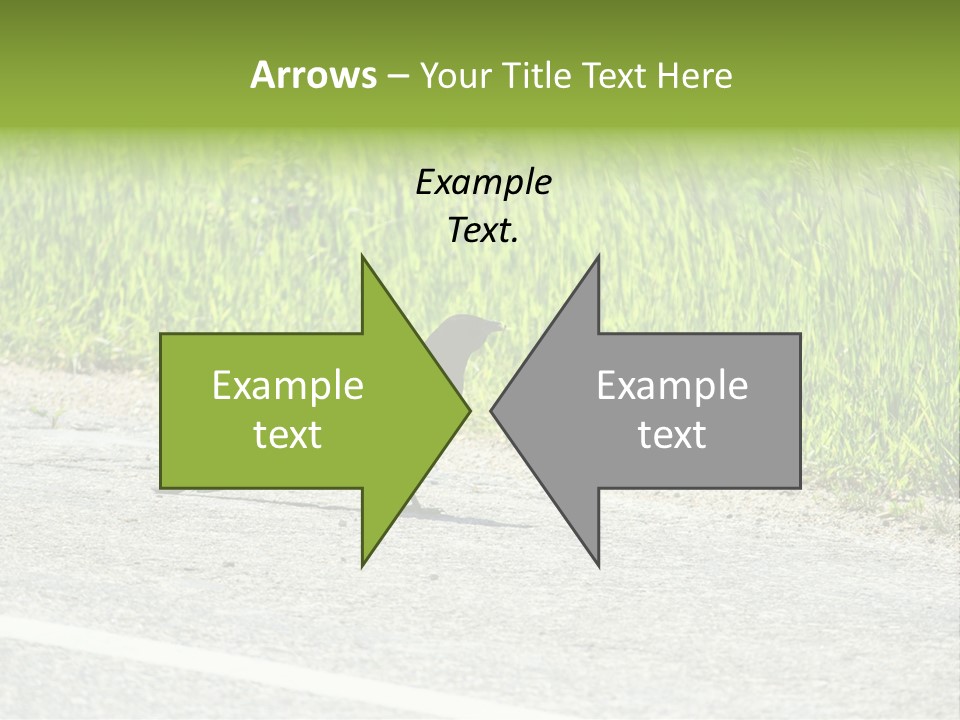 Magpie Highway Grass PowerPoint Template