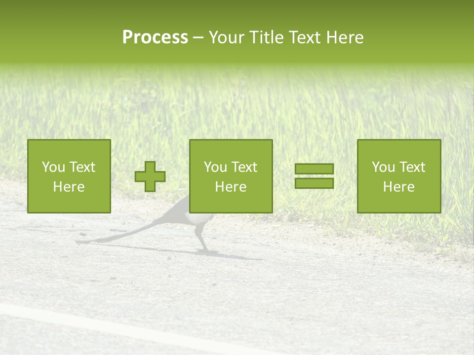 Magpie Highway Grass PowerPoint Template
