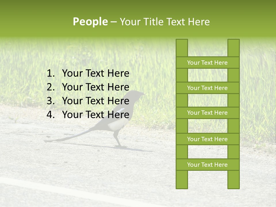 Magpie Highway Grass PowerPoint Template