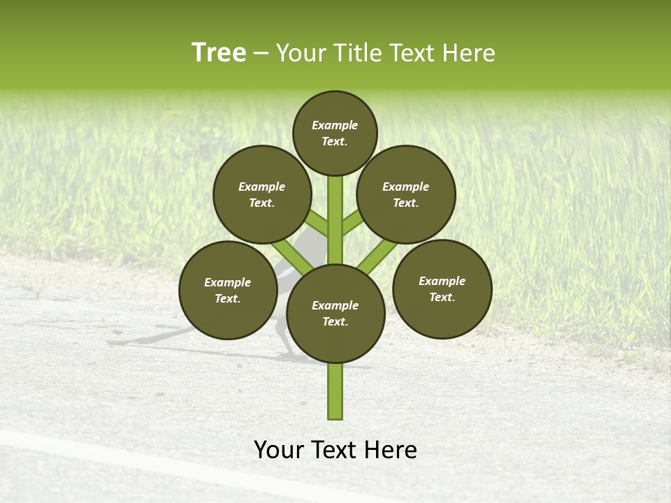 Magpie Highway Grass PowerPoint Template