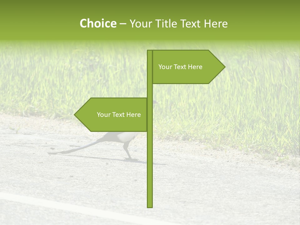 Magpie Highway Grass PowerPoint Template