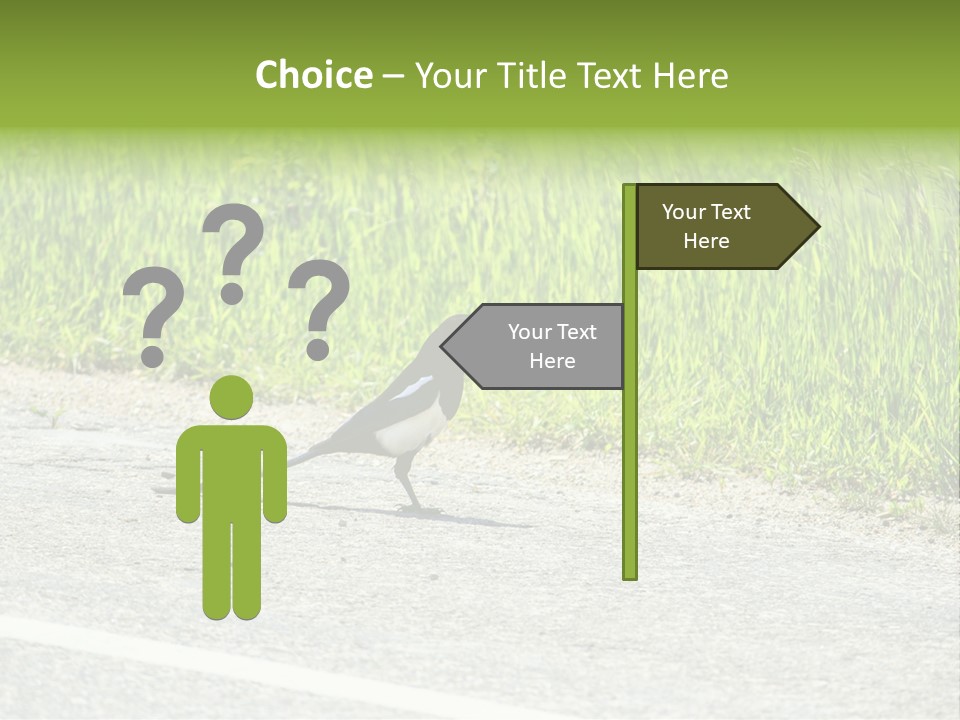 Magpie Highway Grass PowerPoint Template