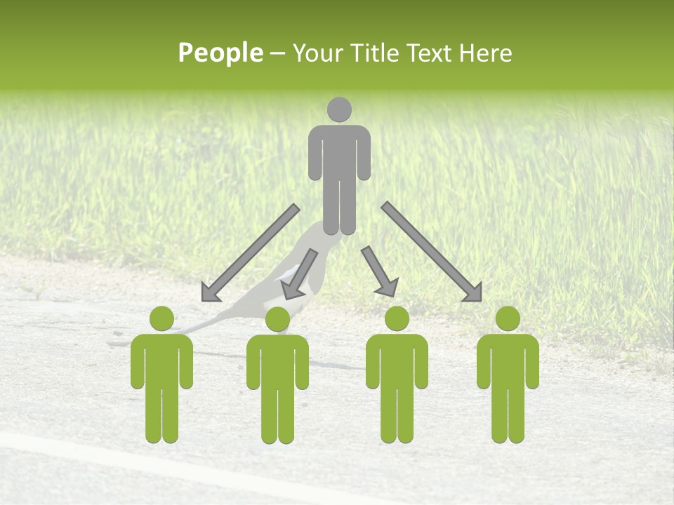 Magpie Highway Grass PowerPoint Template