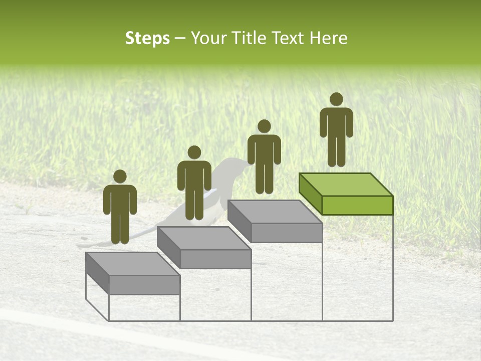 Magpie Highway Grass PowerPoint Template