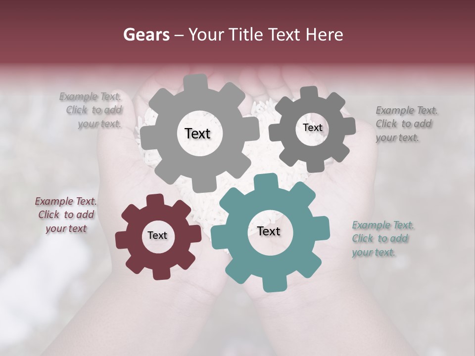 Rice Neglected Survive PowerPoint Template