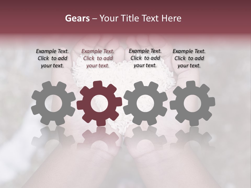 Rice Neglected Survive PowerPoint Template