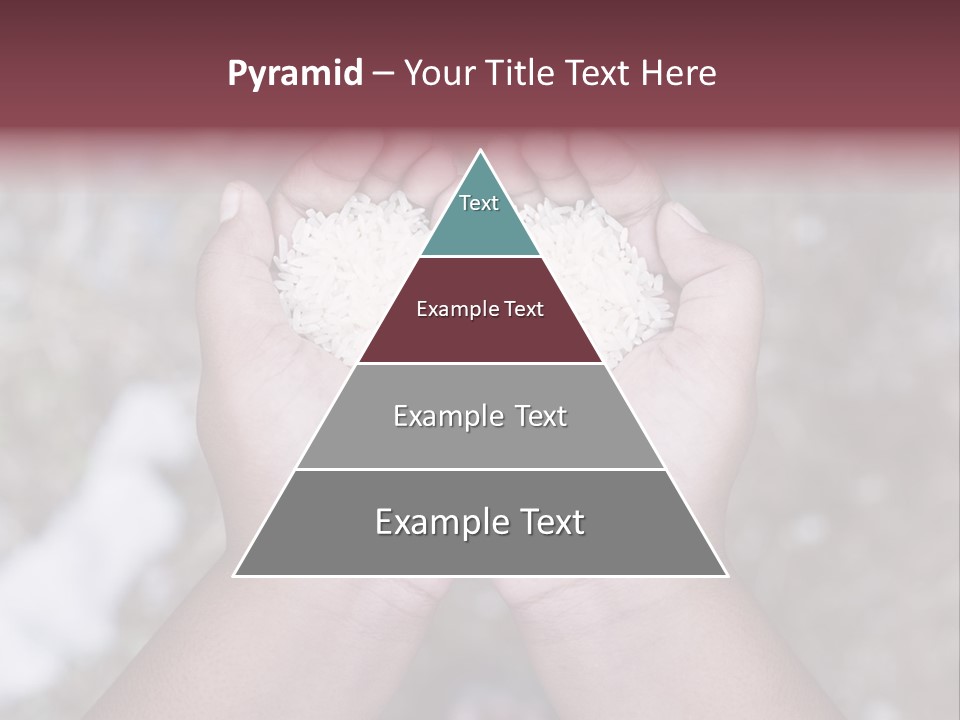 Rice Neglected Survive PowerPoint Template