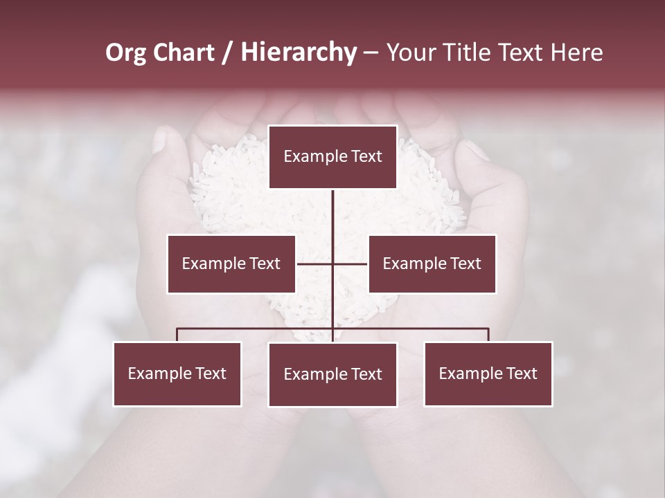 Rice Neglected Survive PowerPoint Template