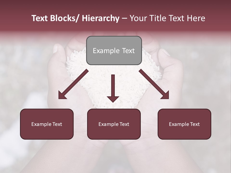 Rice Neglected Survive PowerPoint Template