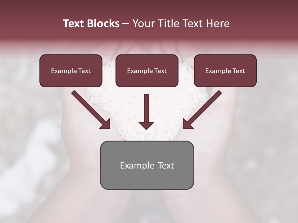 Rice Neglected Survive PowerPoint Template