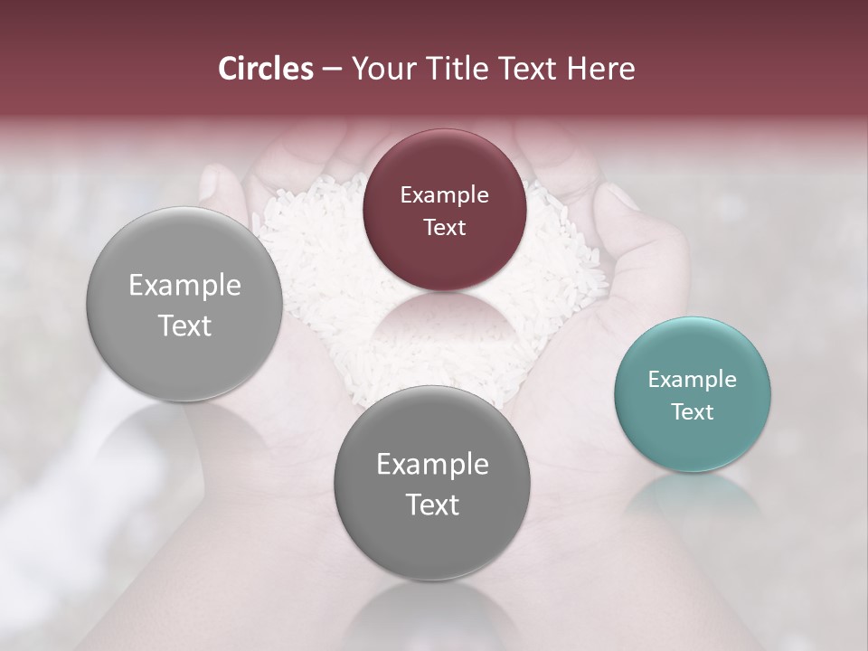 Rice Neglected Survive PowerPoint Template