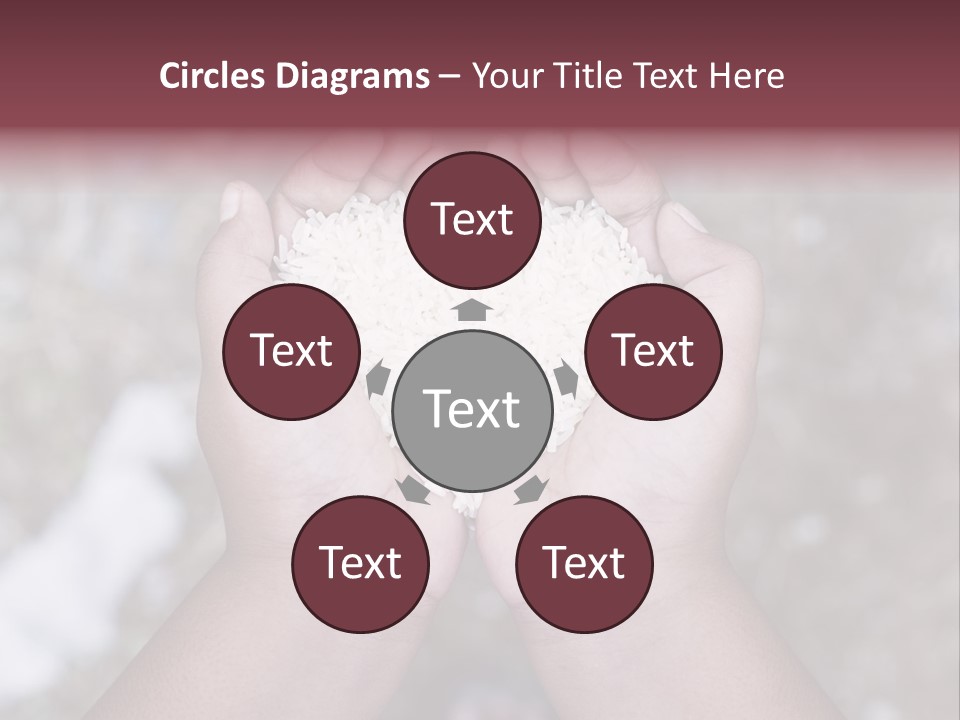 Rice Neglected Survive PowerPoint Template