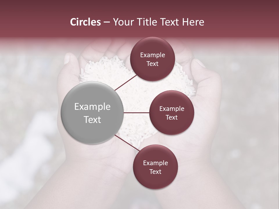 Rice Neglected Survive PowerPoint Template