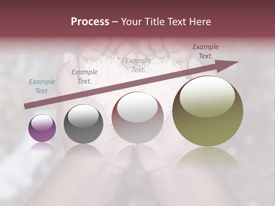 Rice Neglected Survive PowerPoint Template