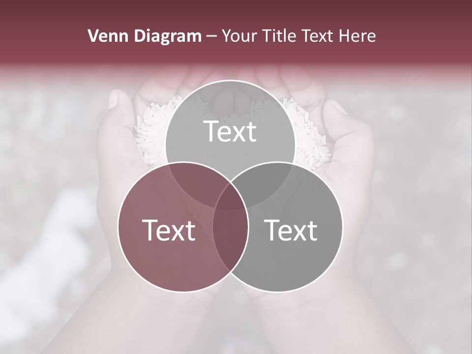 Rice Neglected Survive PowerPoint Template