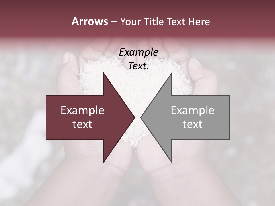 Rice Neglected Survive PowerPoint Template