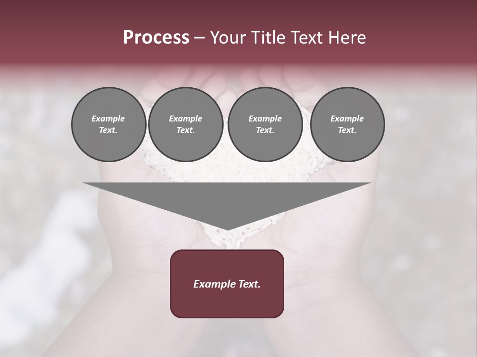 Rice Neglected Survive PowerPoint Template
