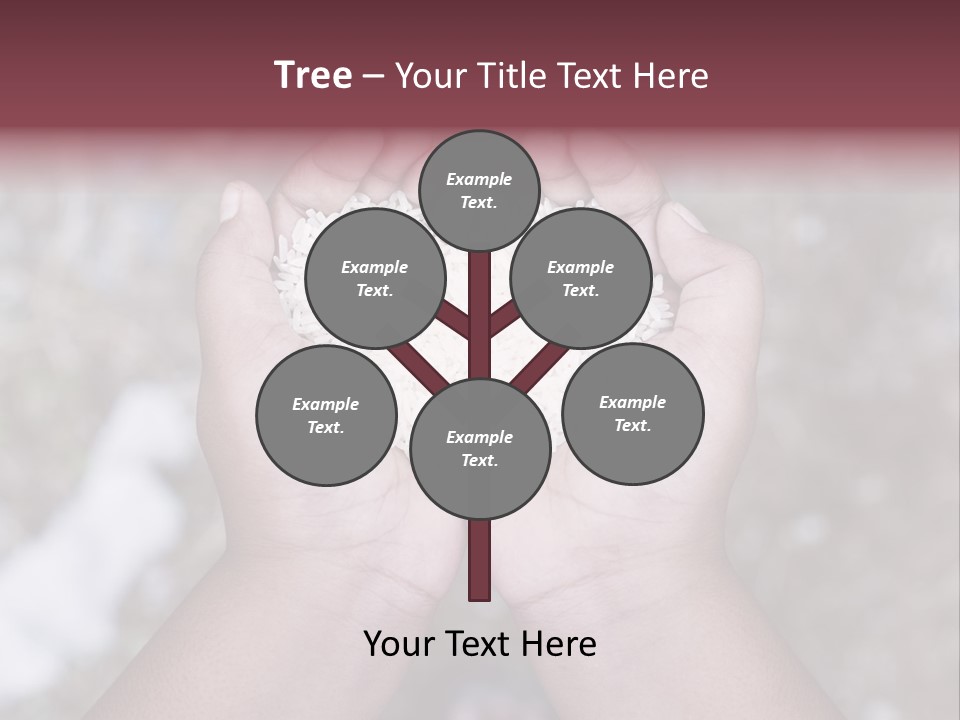 Rice Neglected Survive PowerPoint Template