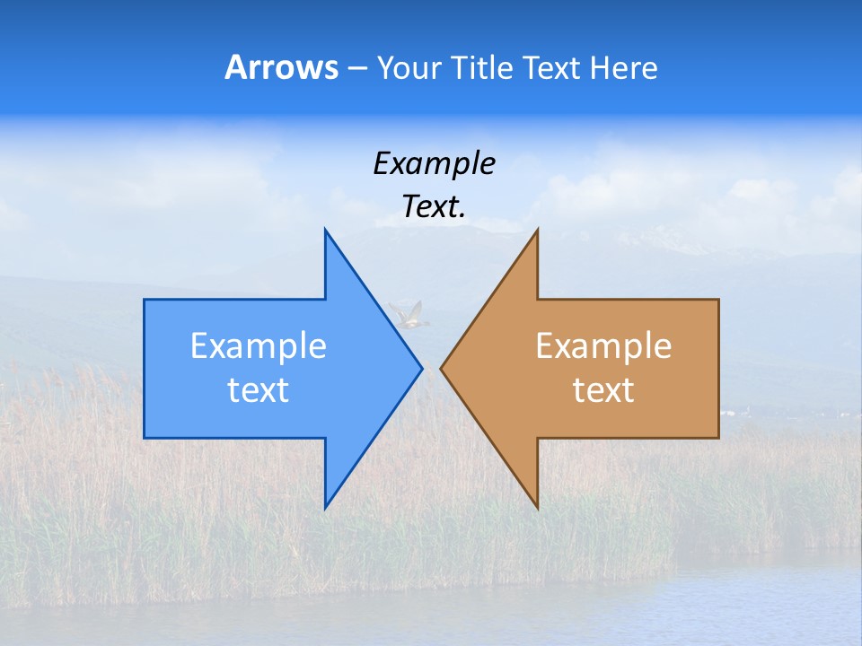 Sky Flock Teamwork PowerPoint Template