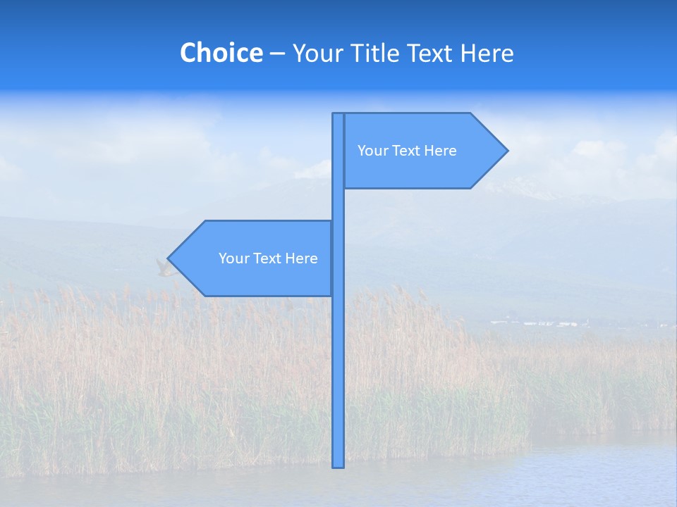 Sky Flock Teamwork PowerPoint Template