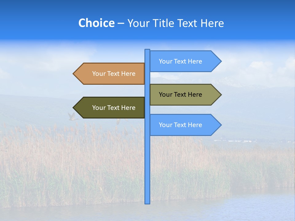 Sky Flock Teamwork PowerPoint Template