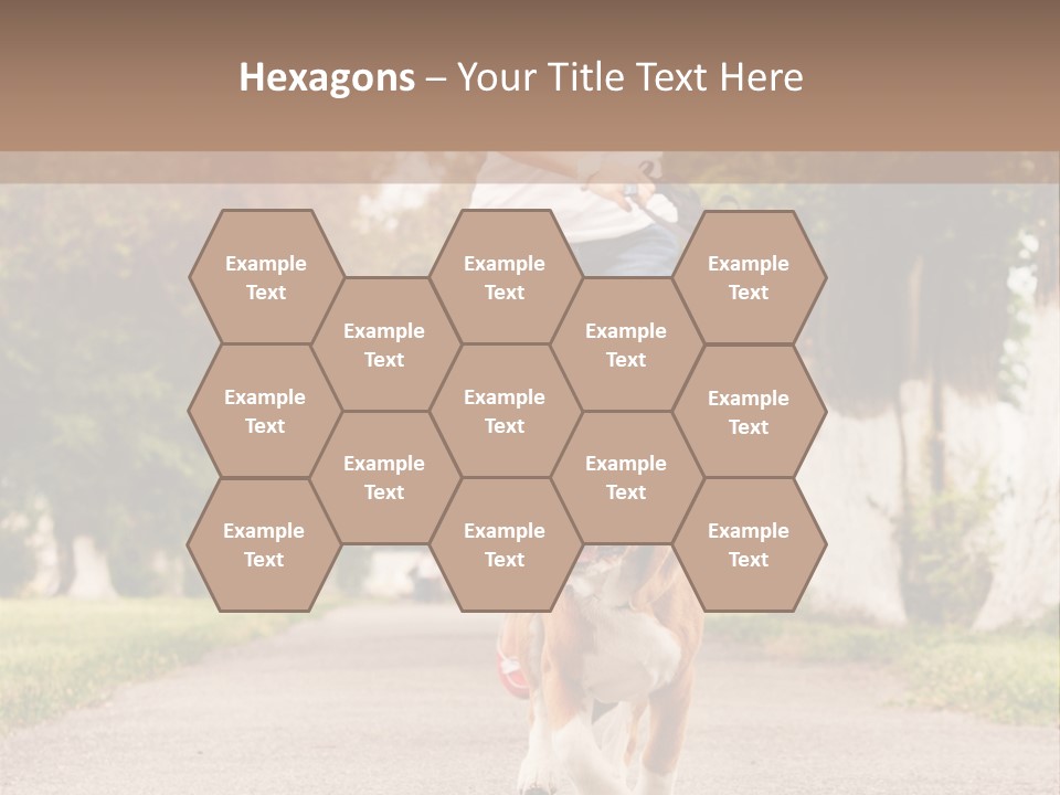 A Woman Running With A Dog On A Leash PowerPoint Template