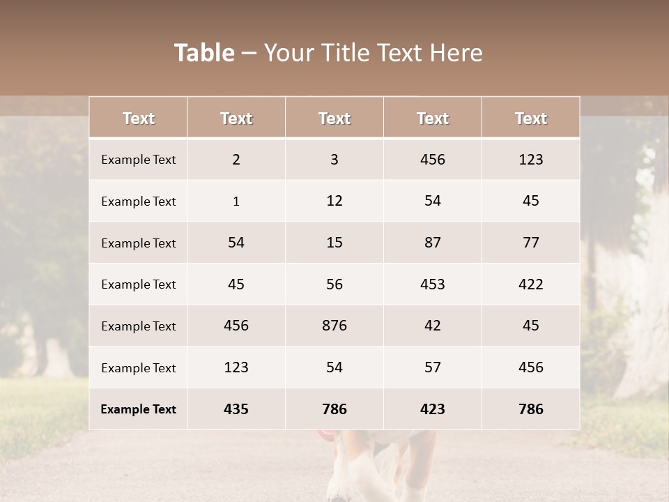 A Woman Running With A Dog On A Leash PowerPoint Template