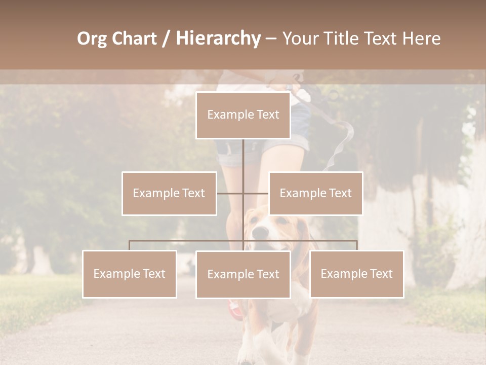 A Woman Running With A Dog On A Leash PowerPoint Template