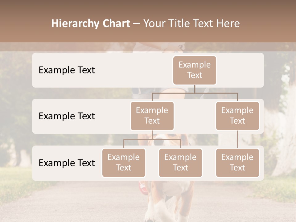 A Woman Running With A Dog On A Leash PowerPoint Template