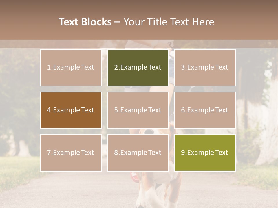 A Woman Running With A Dog On A Leash PowerPoint Template