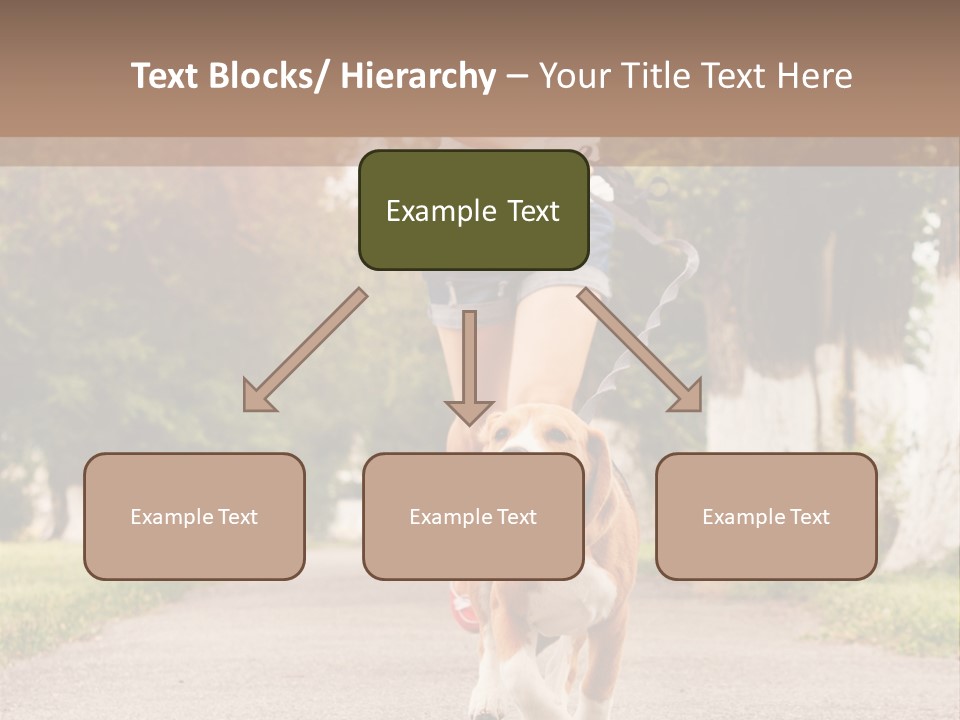 A Woman Running With A Dog On A Leash PowerPoint Template