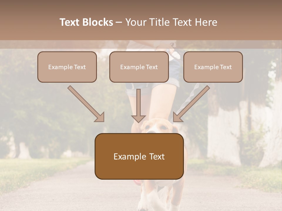 A Woman Running With A Dog On A Leash PowerPoint Template