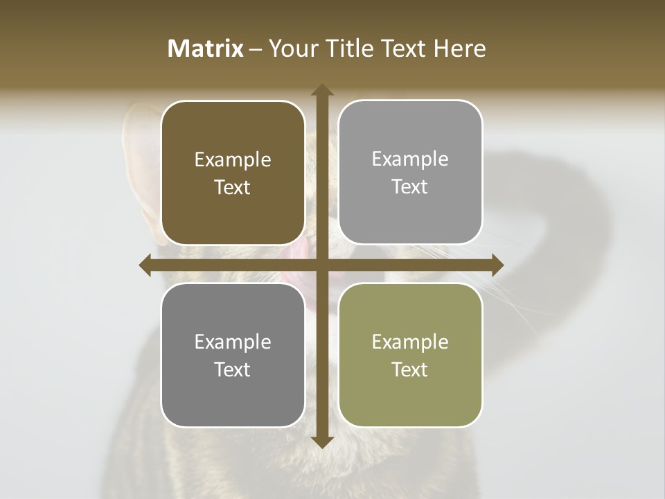 Friendly Lick Friendship PowerPoint Template