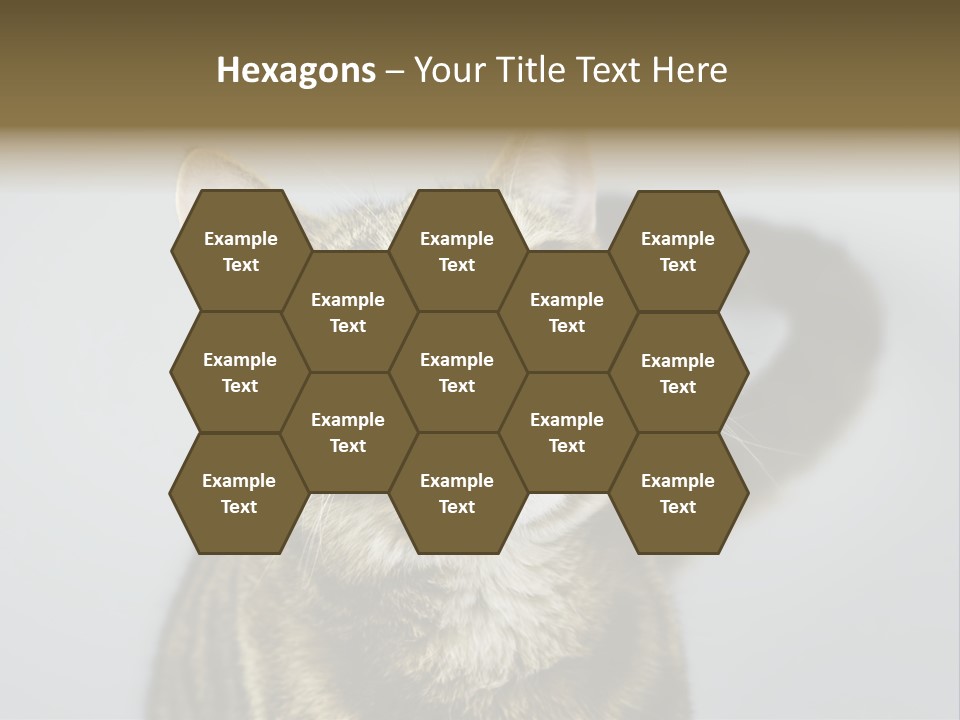 Friendly Lick Friendship PowerPoint Template