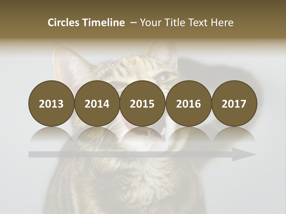 Friendly Lick Friendship PowerPoint Template