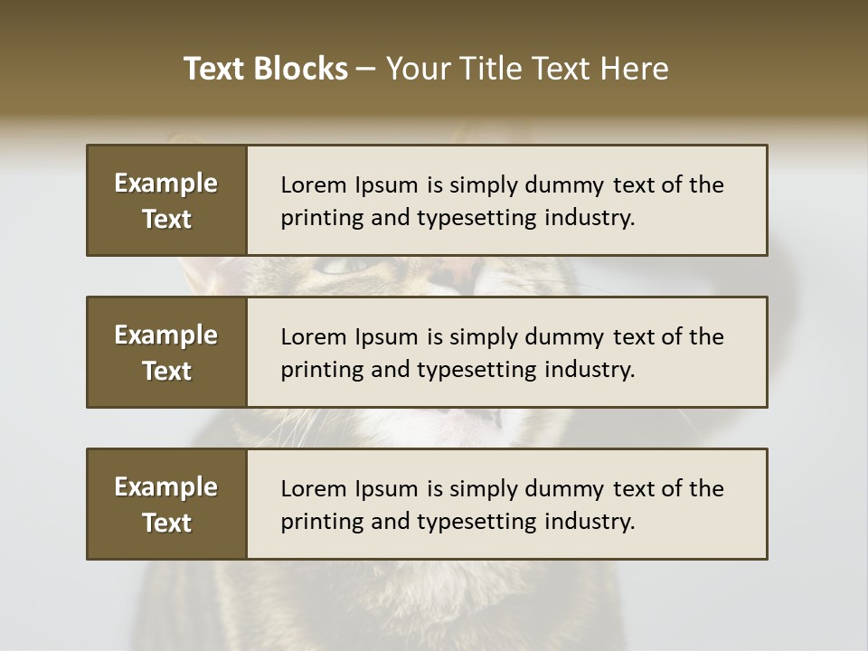 Friendly Lick Friendship PowerPoint Template
