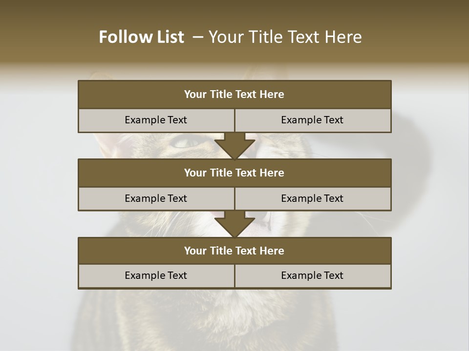 Friendly Lick Friendship PowerPoint Template