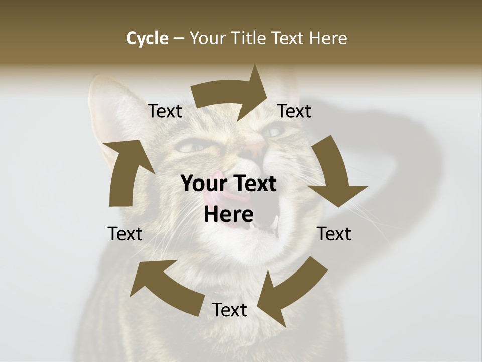 Friendly Lick Friendship PowerPoint Template