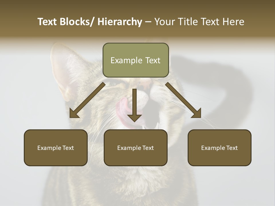 Friendly Lick Friendship PowerPoint Template