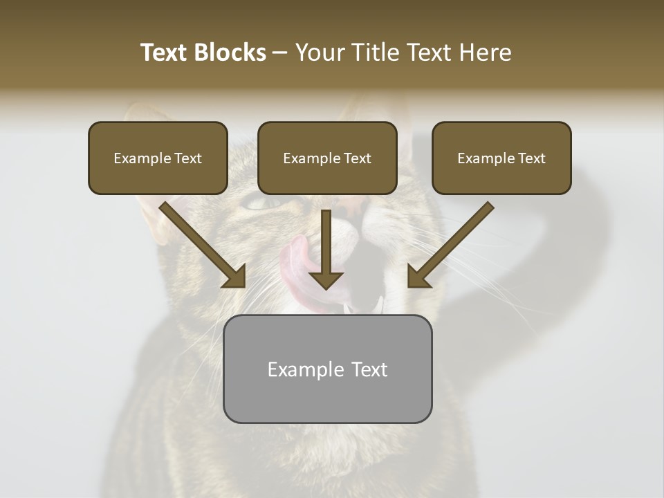 Friendly Lick Friendship PowerPoint Template