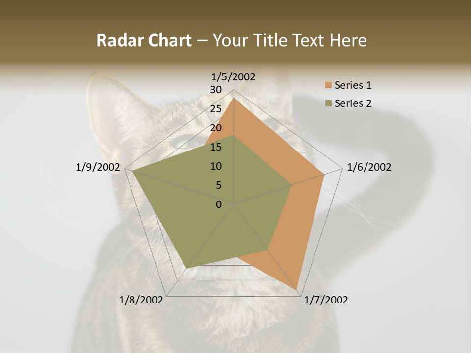 Friendly Lick Friendship PowerPoint Template
