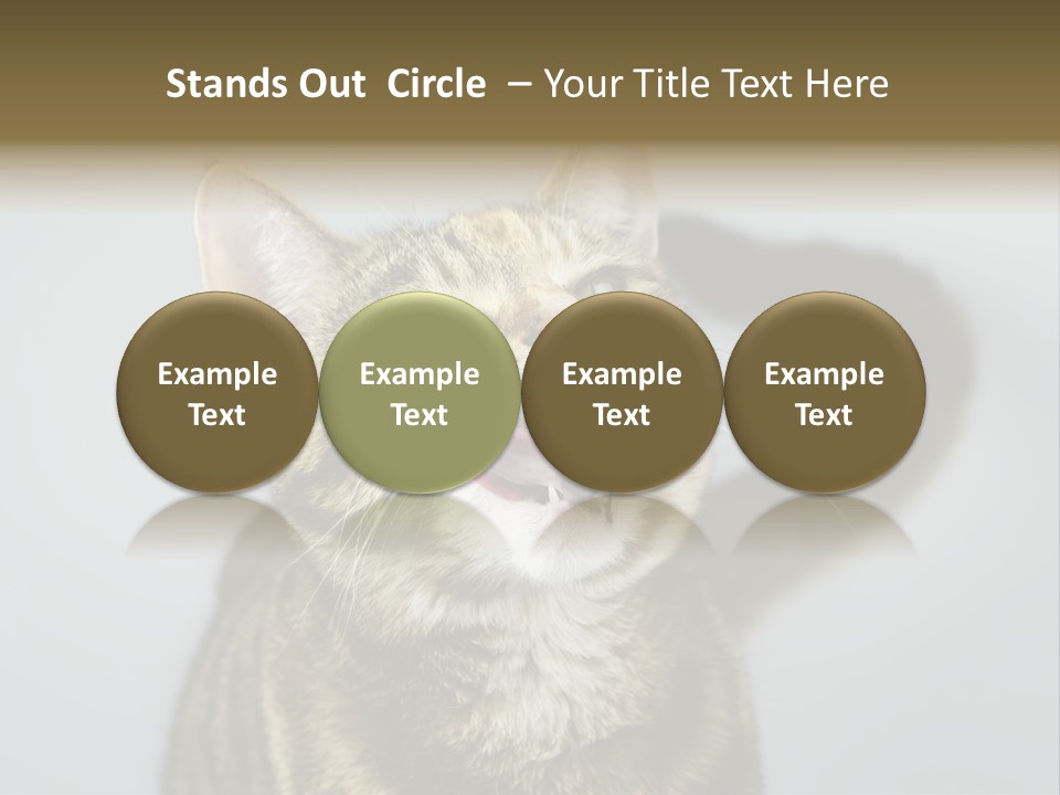 Friendly Lick Friendship PowerPoint Template