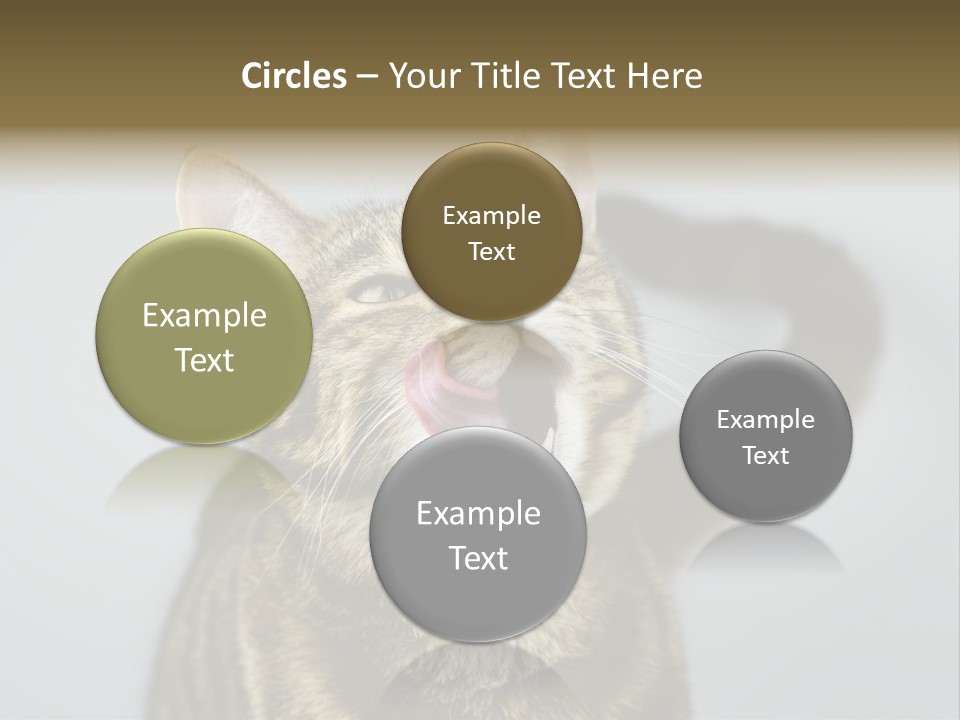 Friendly Lick Friendship PowerPoint Template