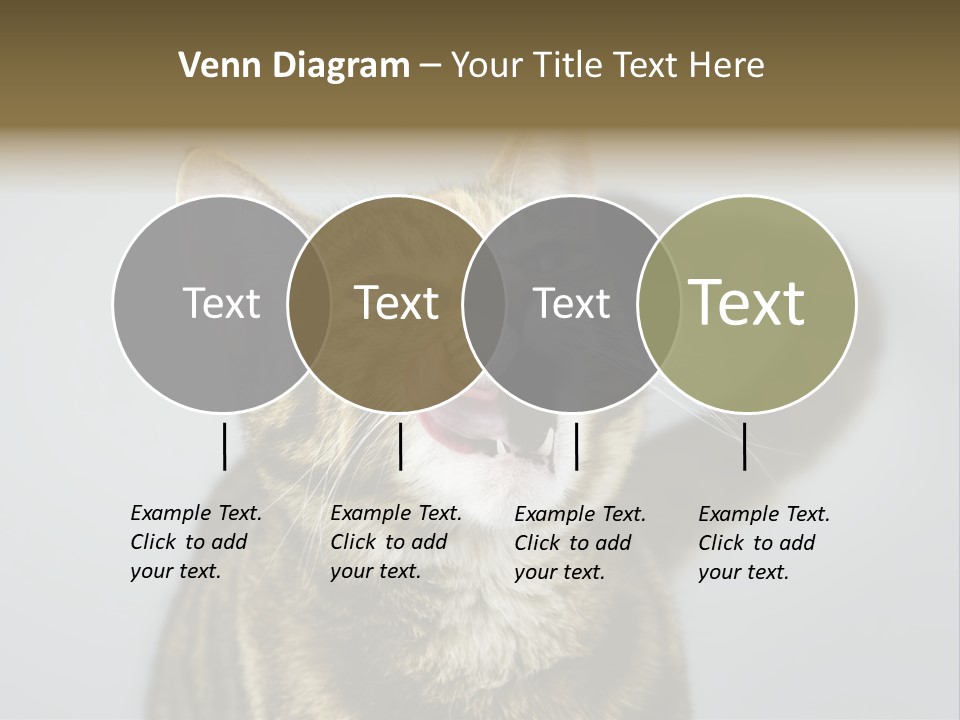 Friendly Lick Friendship PowerPoint Template