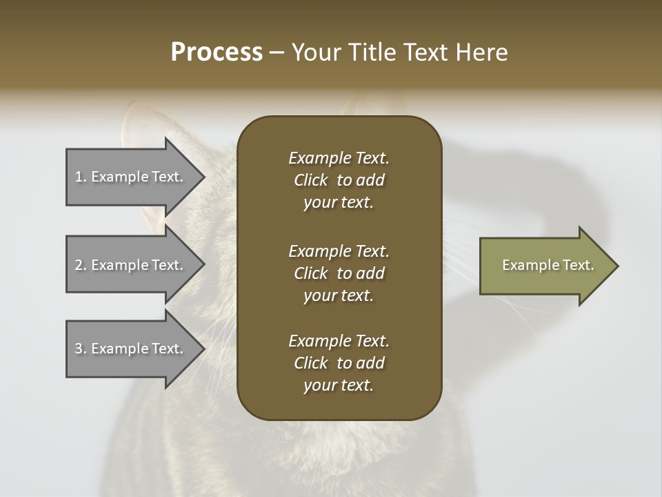 Friendly Lick Friendship PowerPoint Template