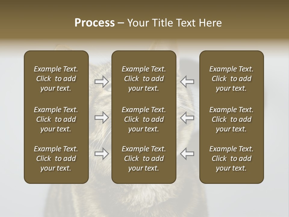 Friendly Lick Friendship PowerPoint Template