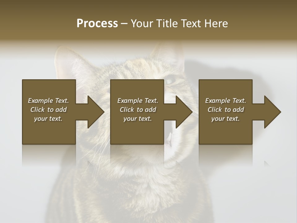 Friendly Lick Friendship PowerPoint Template