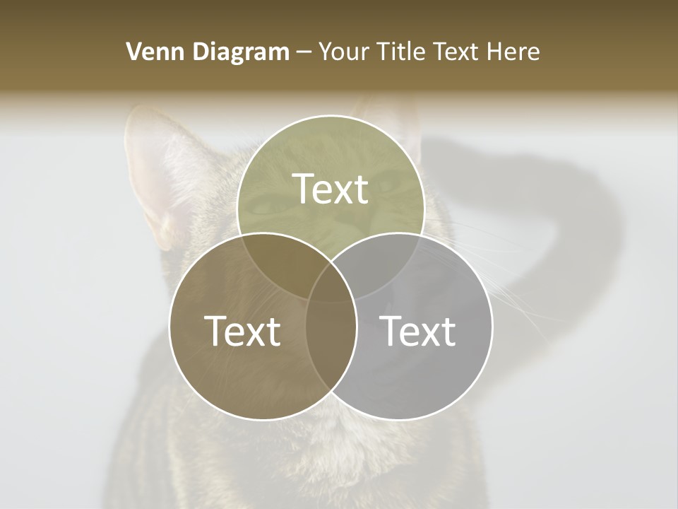 Friendly Lick Friendship PowerPoint Template