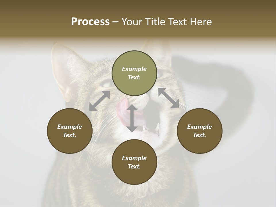 Friendly Lick Friendship PowerPoint Template