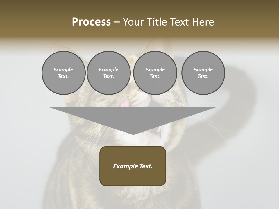 Friendly Lick Friendship PowerPoint Template